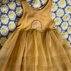 Wild wawa rainbow tutu dress 2-3